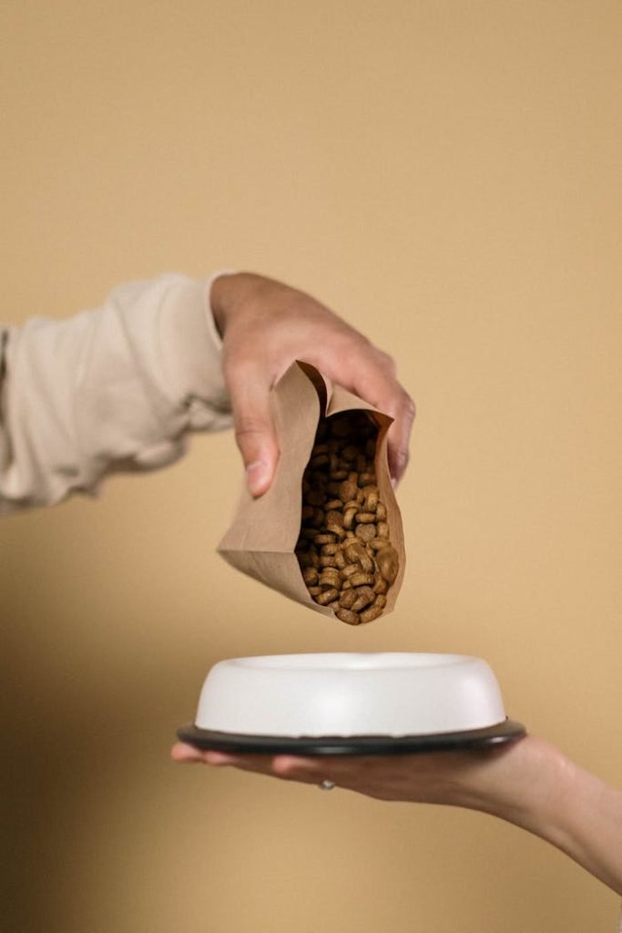A hand pouring brown dog food from a paper bag into a white bowl.