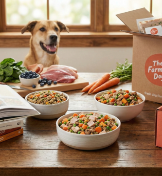 Comparison of fresh dog food delivery boxes from Farmer's Dog and Ollie next to homemade dog food cookbooks and fresh ingredients on a kitchen counter.