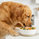 Golden Retriever Eating Anti Inflammatory Dog Food Allergies 150x150